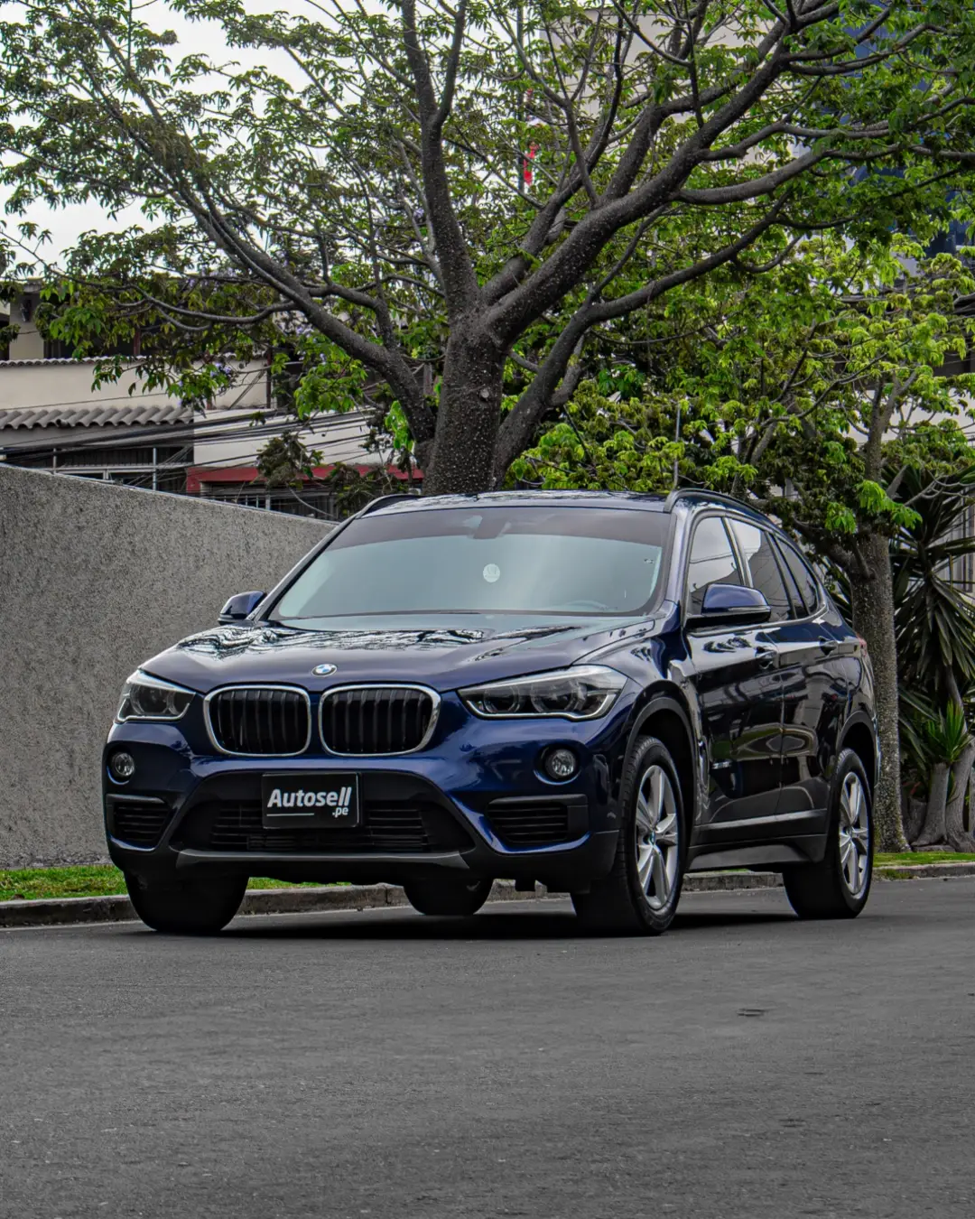 BMW X1