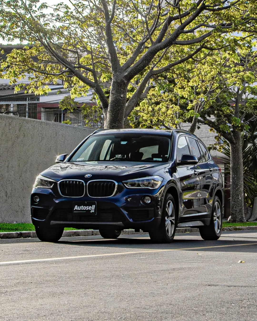 BMW X1