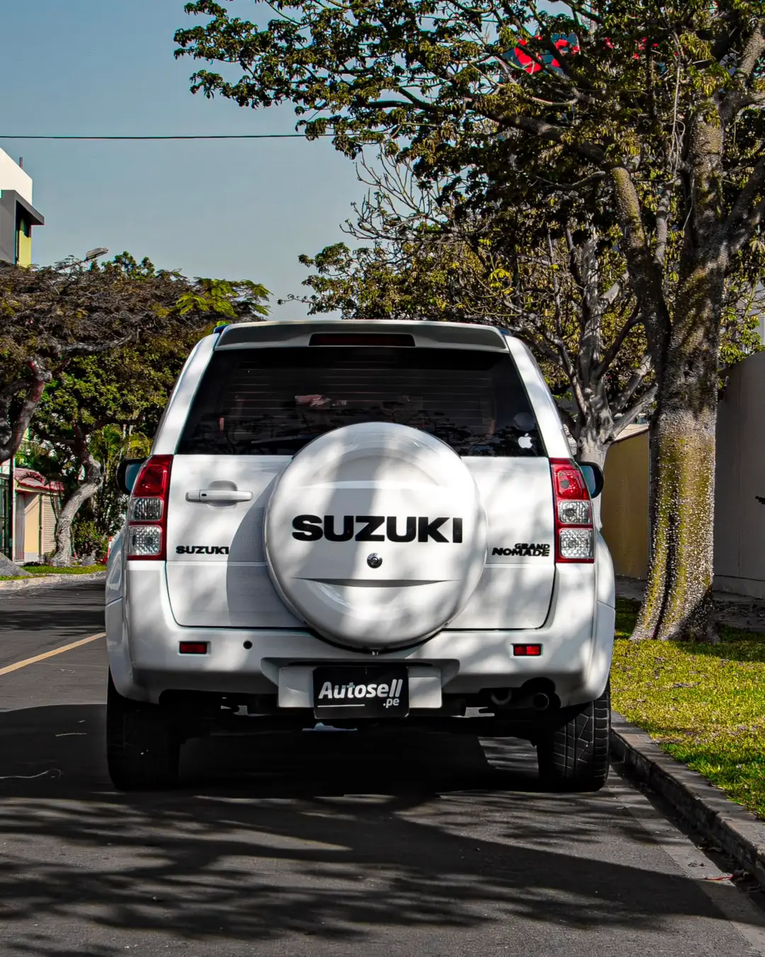 Suzuki Grand nomade