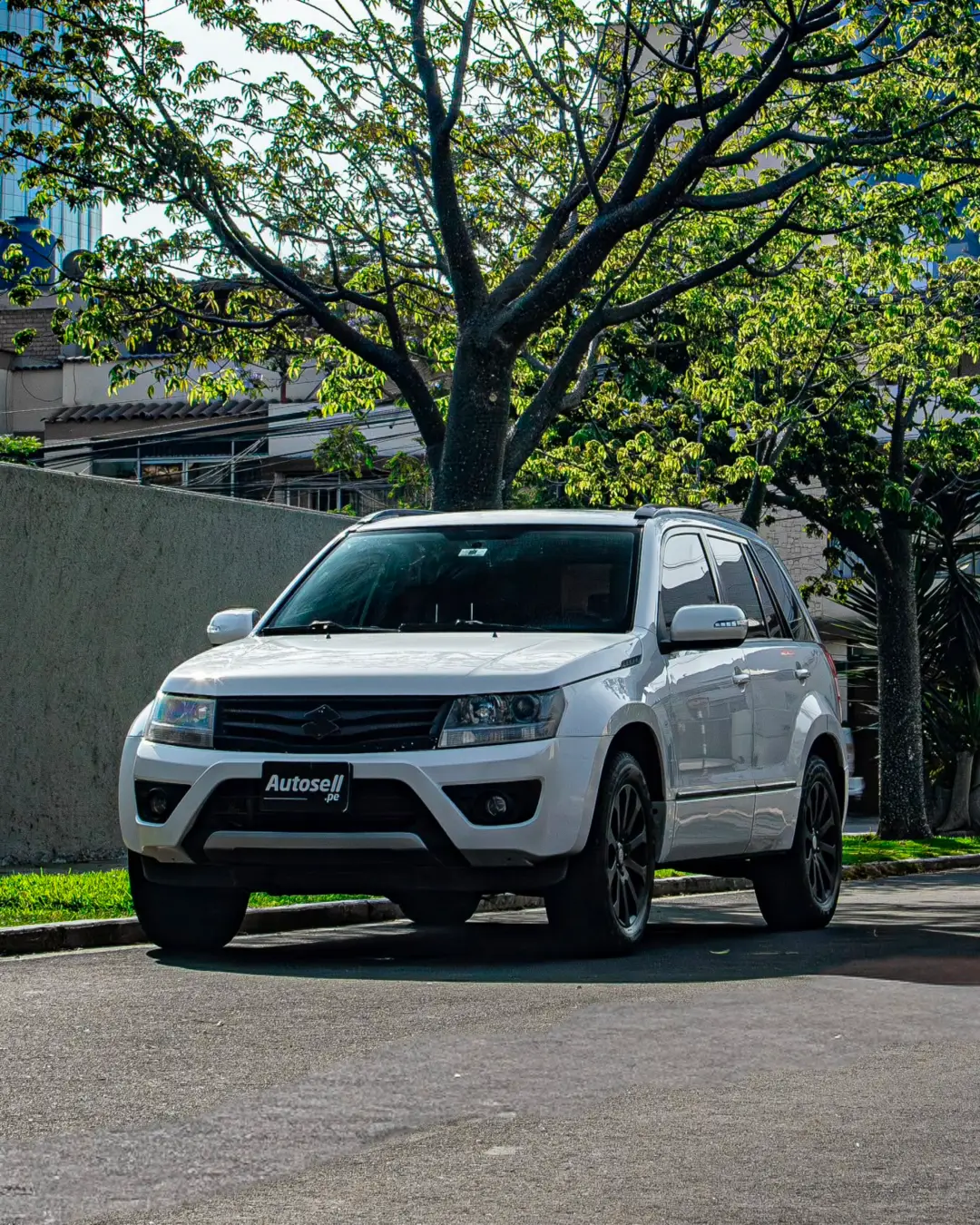 Suzuki Grand nomade