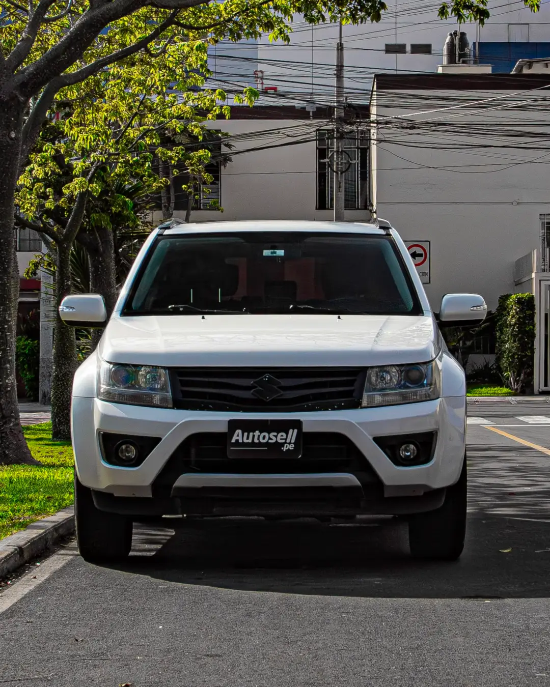 Suzuki Grand nomade
