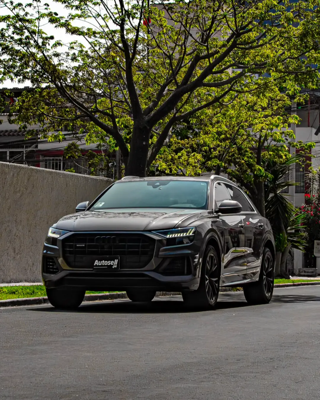 Audi Q8