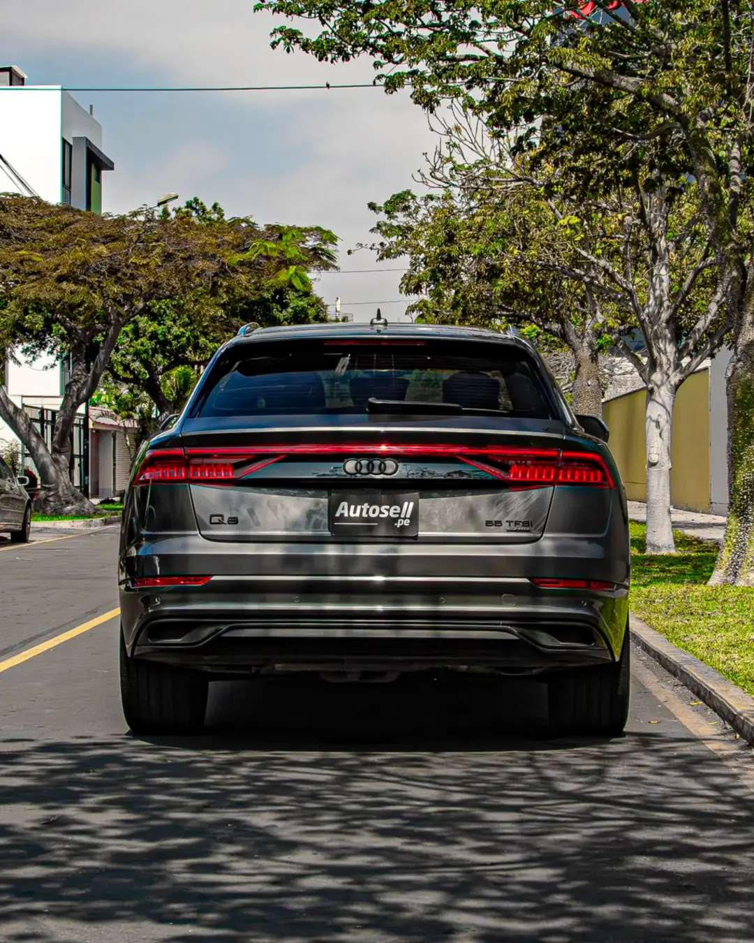 Audi Q8