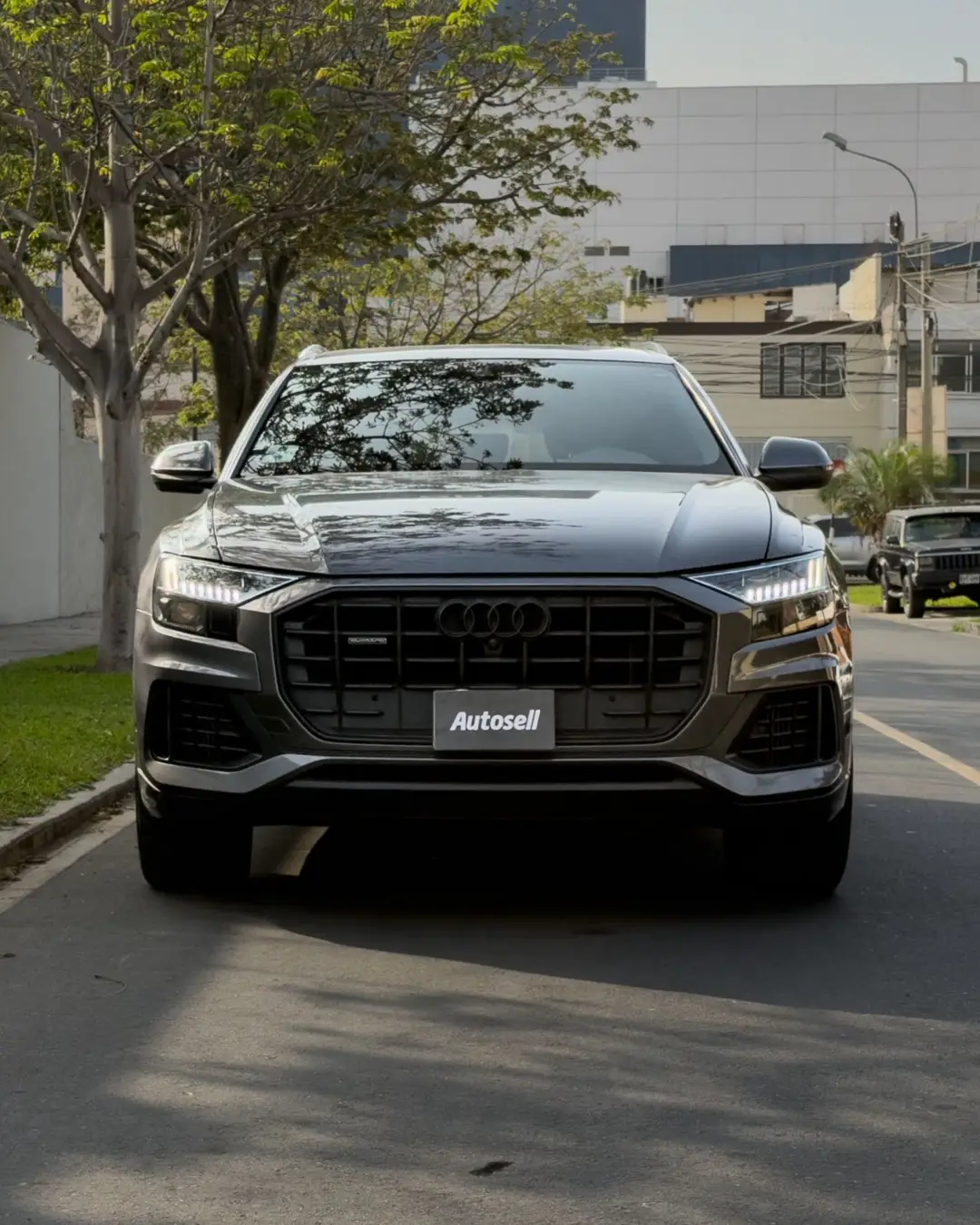 Audi Q8