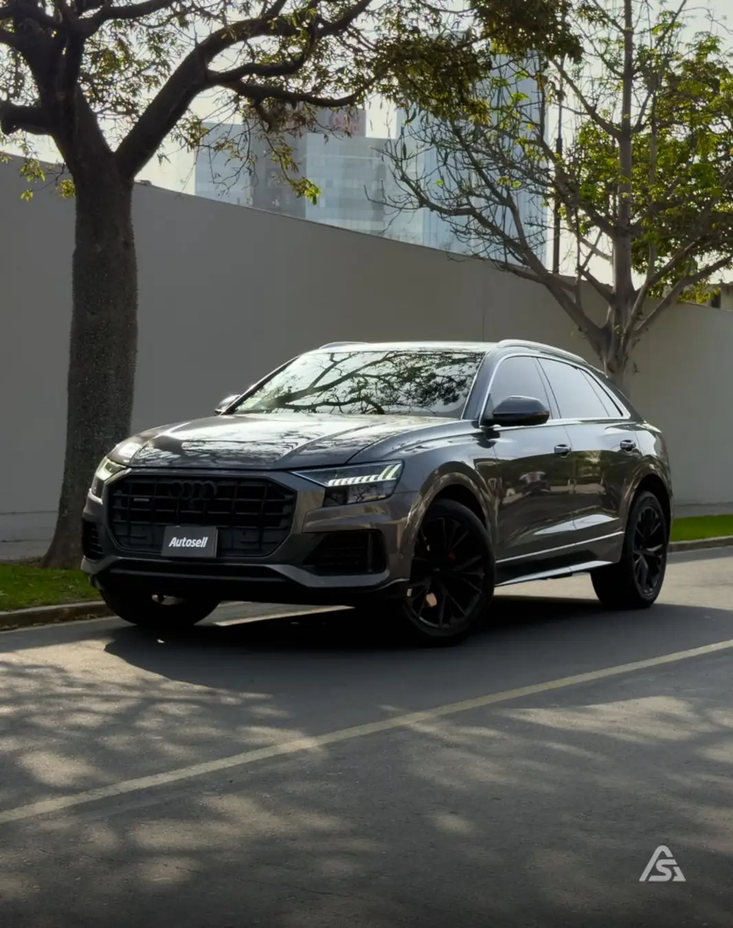 Audi Q8 2019 seminuevo en venta