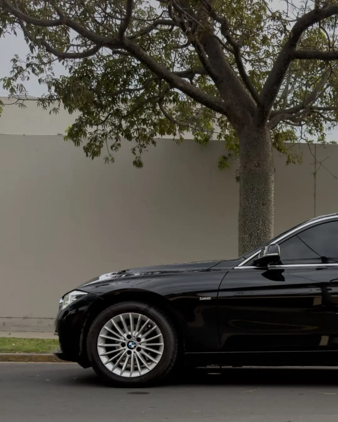 BMW 318i
