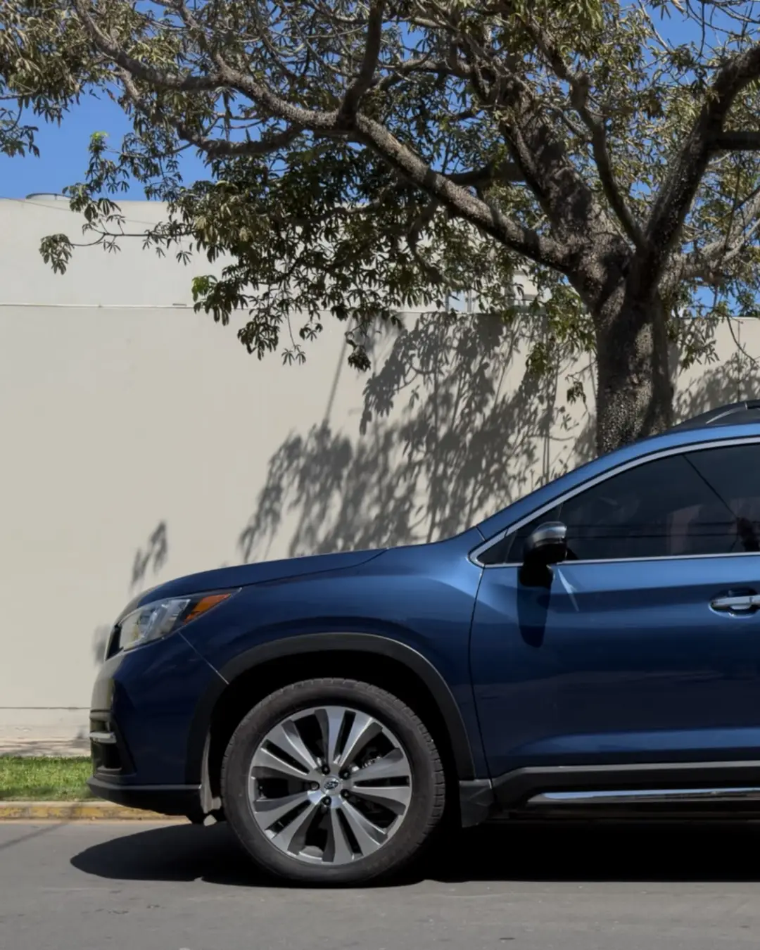 Subaru Evoltis