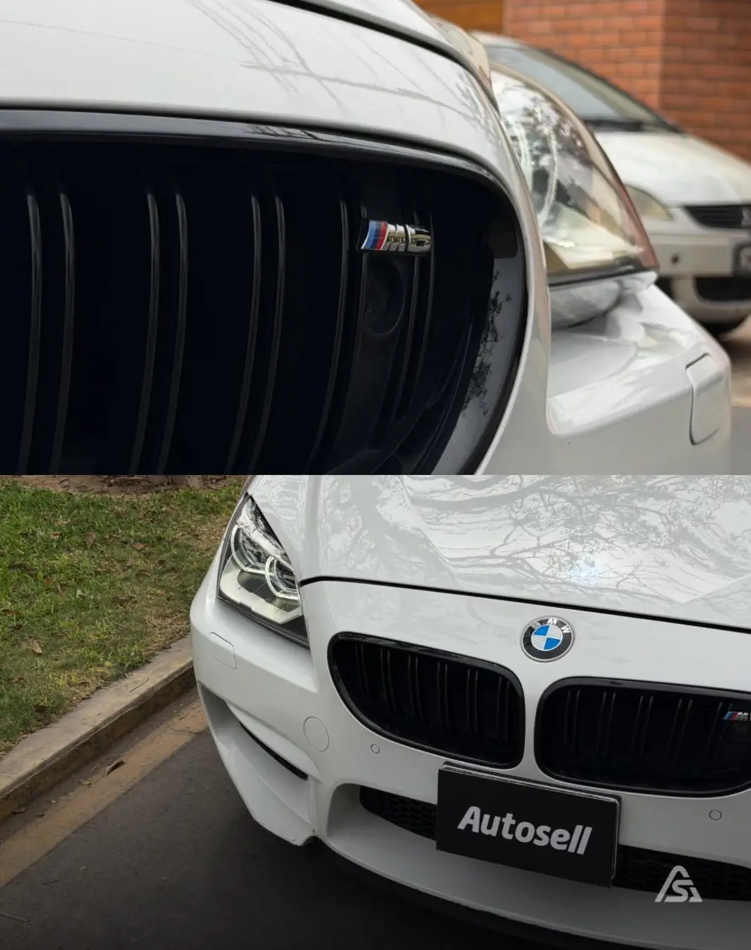 BMW M6