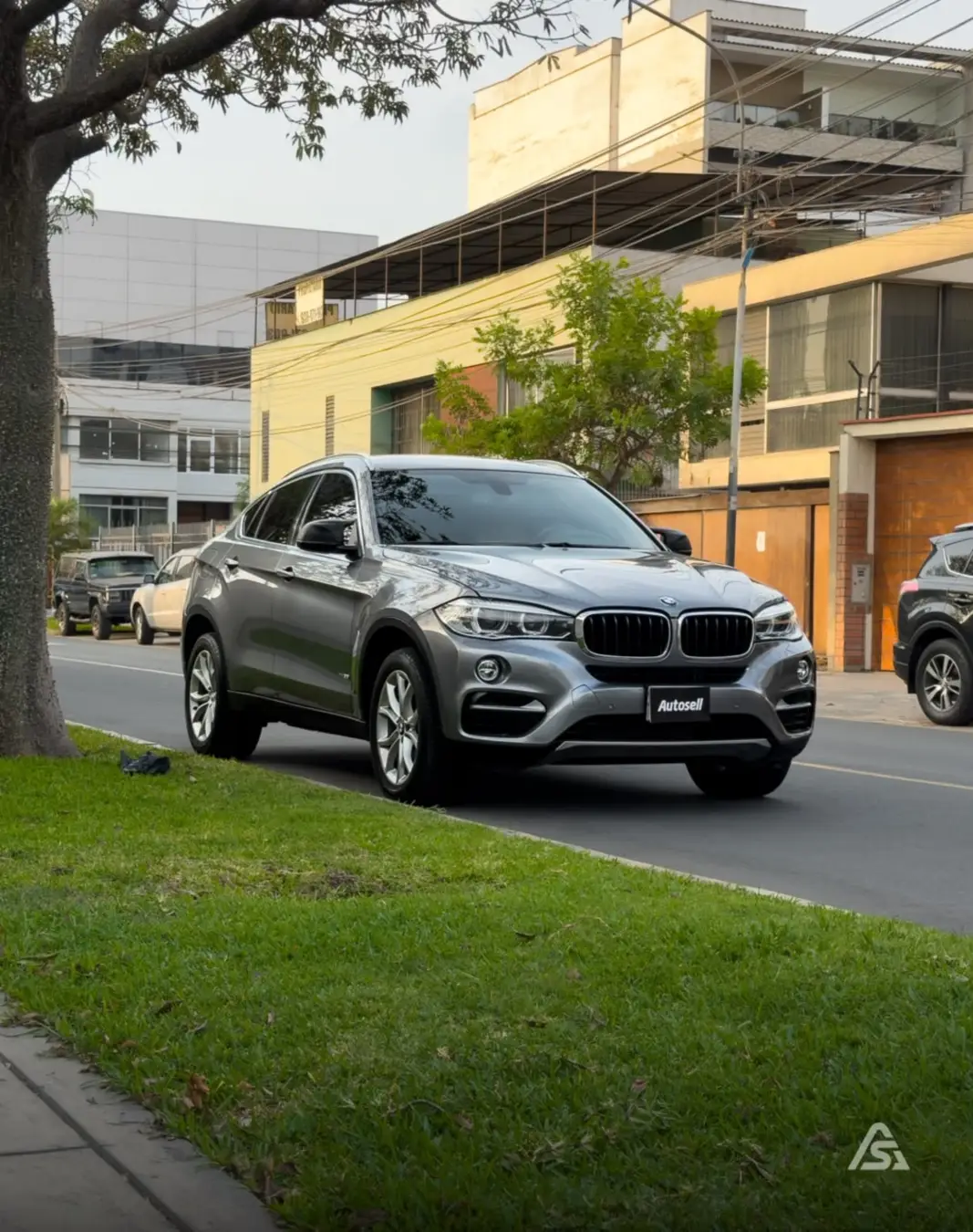 BMW X6