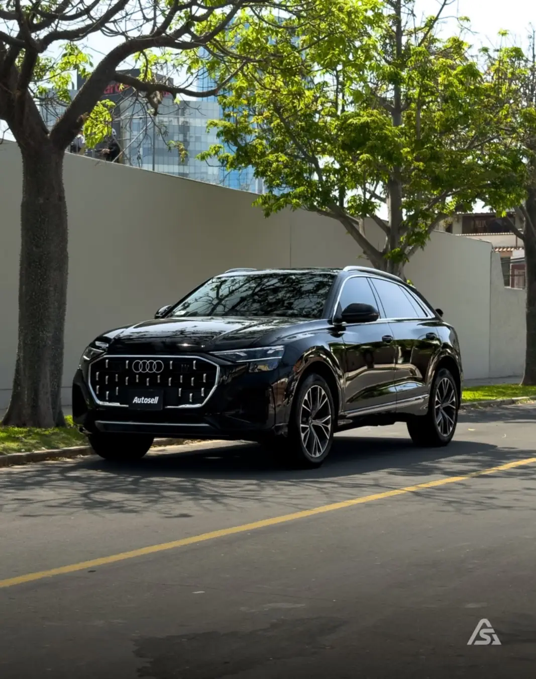 Audi Q8