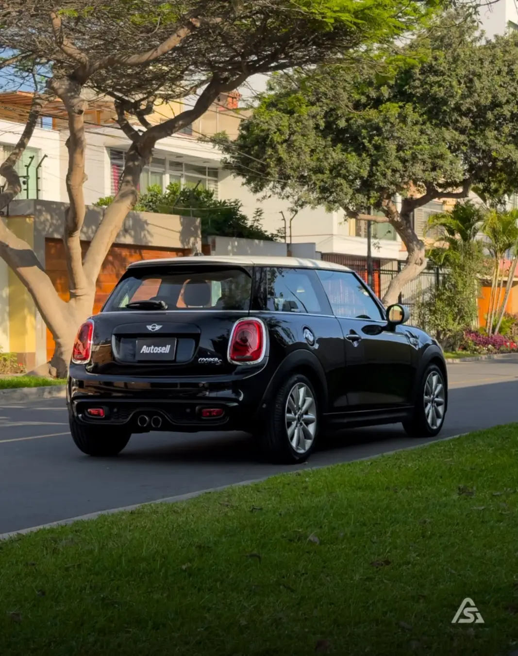 Mini Hatch